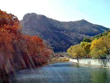 澳门天天彩期期精准平肖，佛山到山东物流